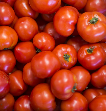 토마토를 던진다고? &ndash; La Tomatina의 첫인상