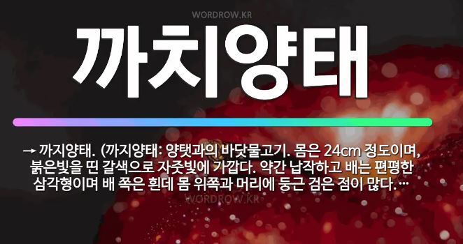 까치양태