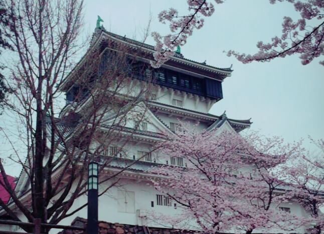 후쿠오카 벚꽃 명소