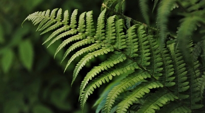 옷 냄새 제거 방법