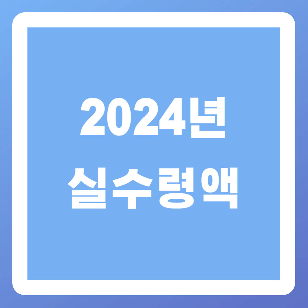 2024년-실수령액