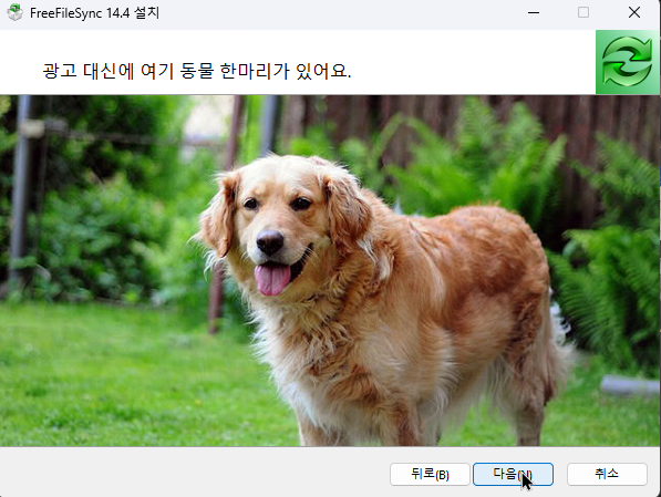 무료 백업 프로그램 추천: FreeFileSync 사용법 완벽 가이드2