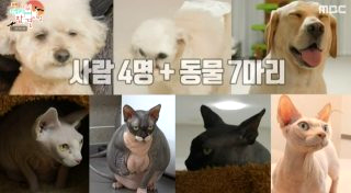 이강태 프로필 전참시 이강태 유튜버 포켓멍센터