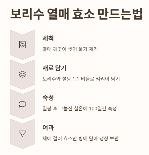 보리수 열매 효소 만드는법