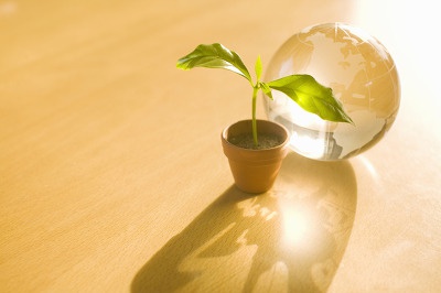 부동산 실거래가 조회 방법