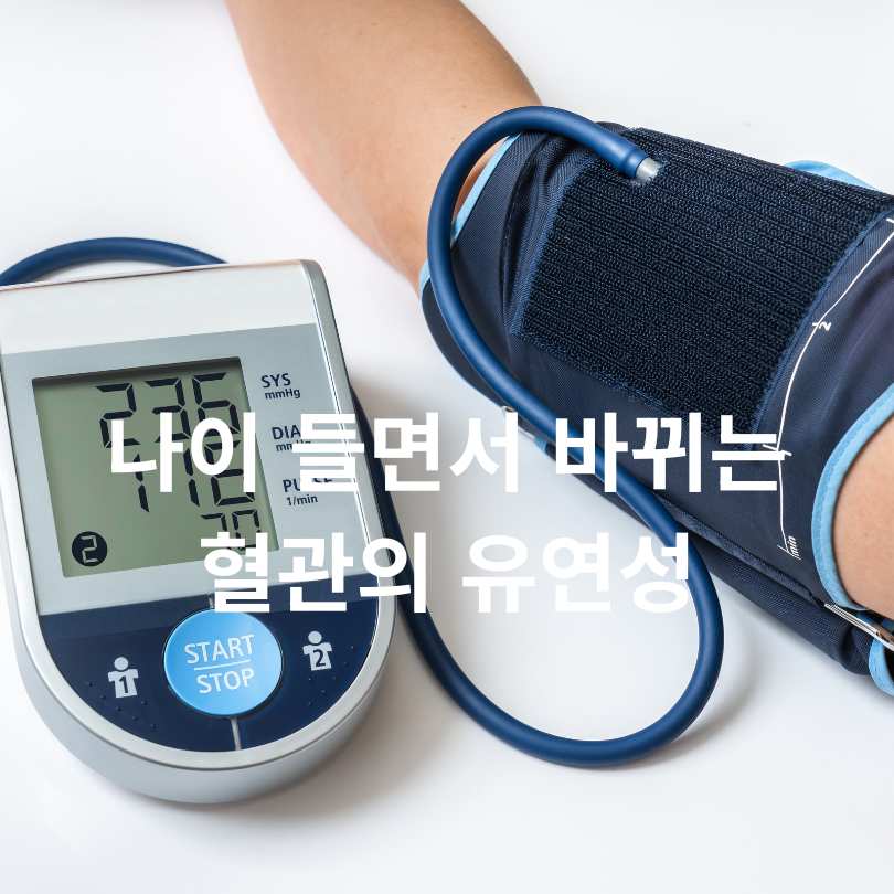 저혈압에서 고혈압으로 바뀌는 원인과 예방방법 총정리