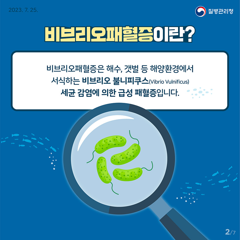 비브리오패혈증 증상 알아보기