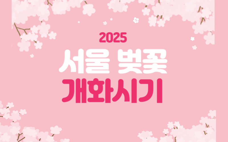 서울 벚꽃 개화 시기