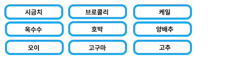 지아진탄 영양제 눈건강 눈영양제 루테인 지아잔틴