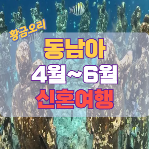 동남아 신혼여행 즐거운 스노클링