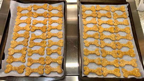 강아지에게 좋은 재료 &amp; 피해야 할 재료