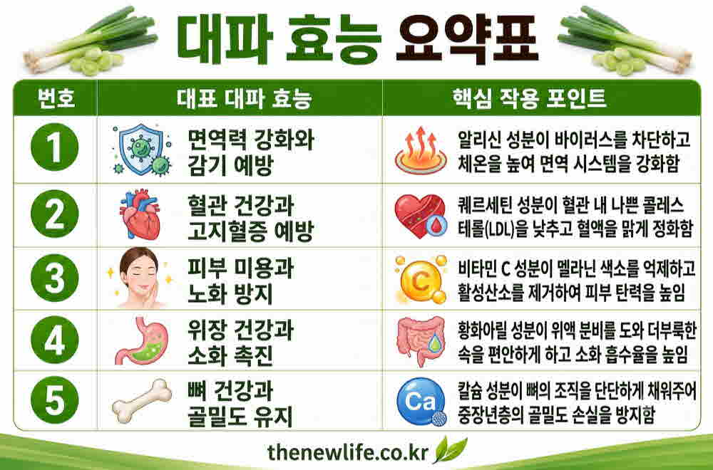 대파 효능 요약표