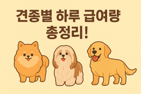 견종별 하루 급여량 총정리