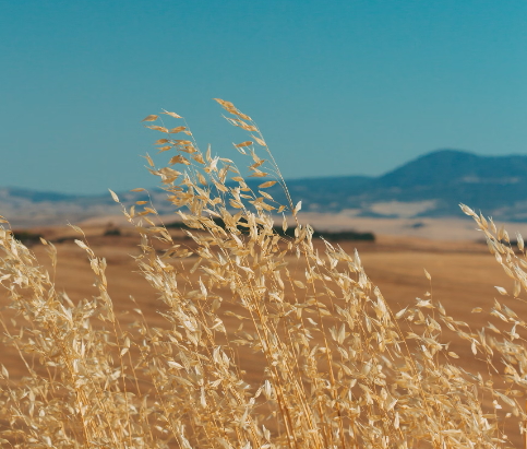2024 재산세 납부기간 및 납부방법 알아보기!