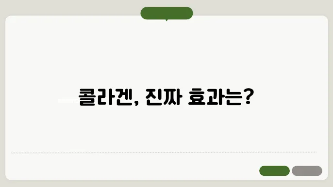 저분자 콜라겐 효능의 배능