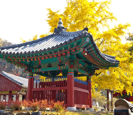 단풍여행 당일 단풍버스여행