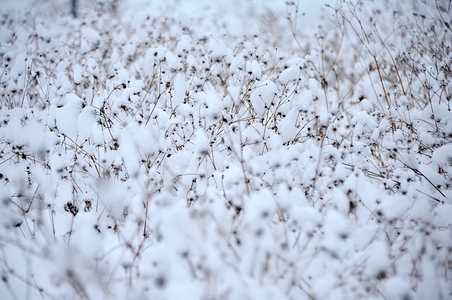 1월 주일 대표 기도문 모음