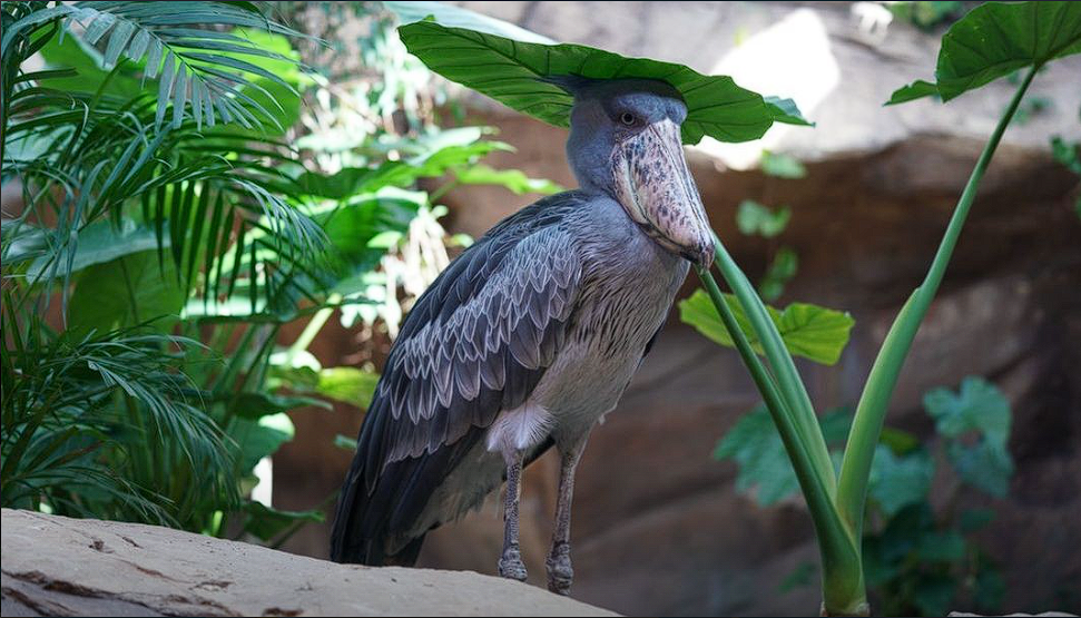 사천 가볼만한 곳 