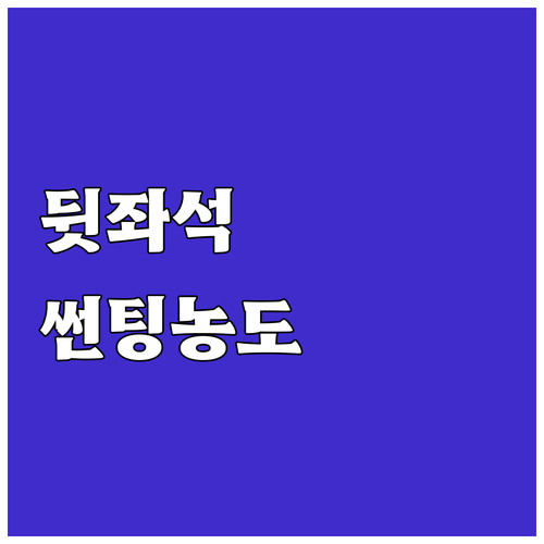 자동차 뒷좌석 썬팅 농도 선택, 프라..