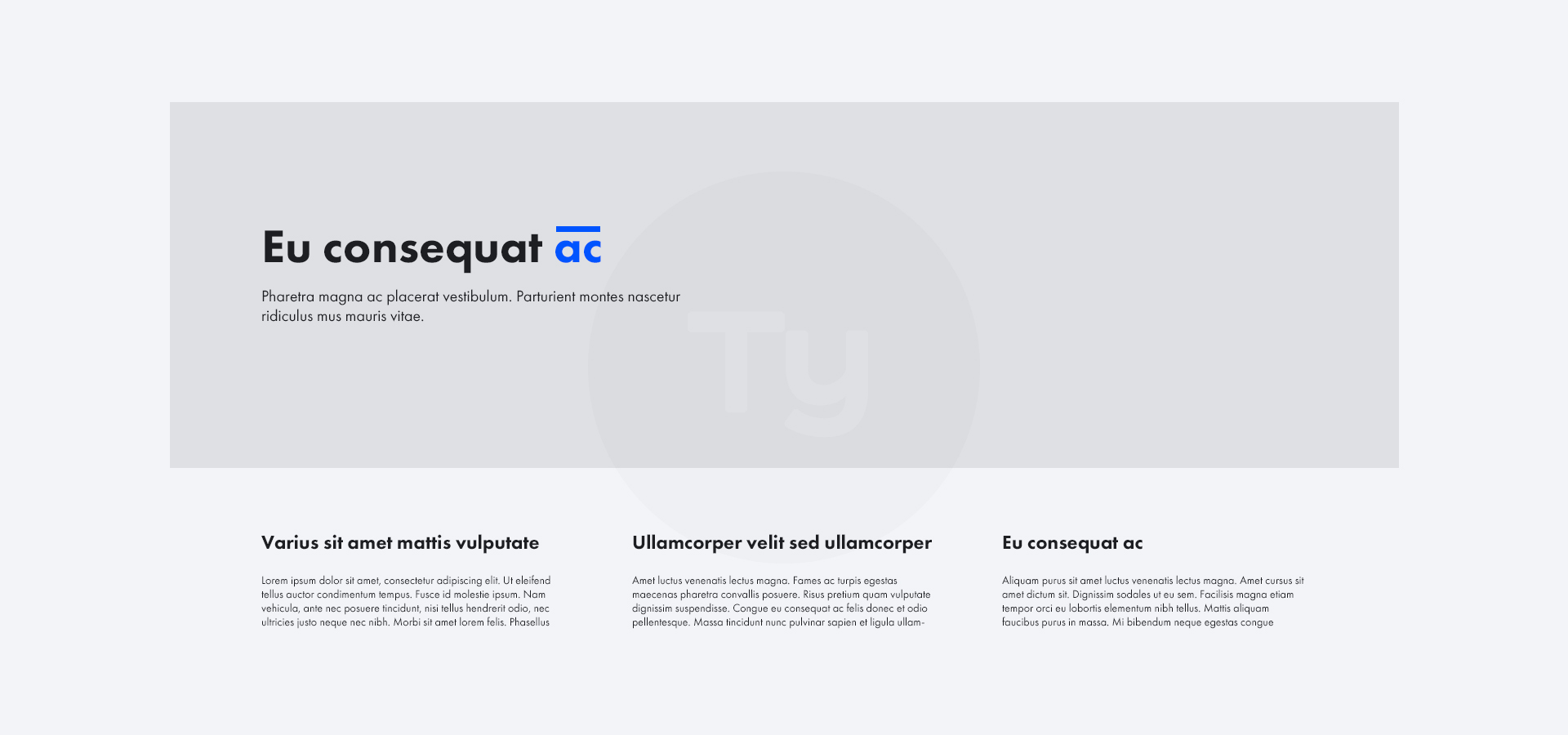 Lorem을 활용한 디자인 예시 이미지