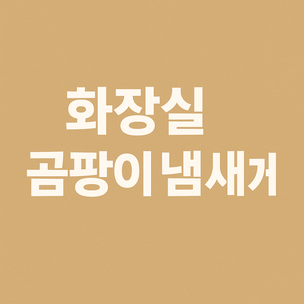 어디서 시작된 걸까요?