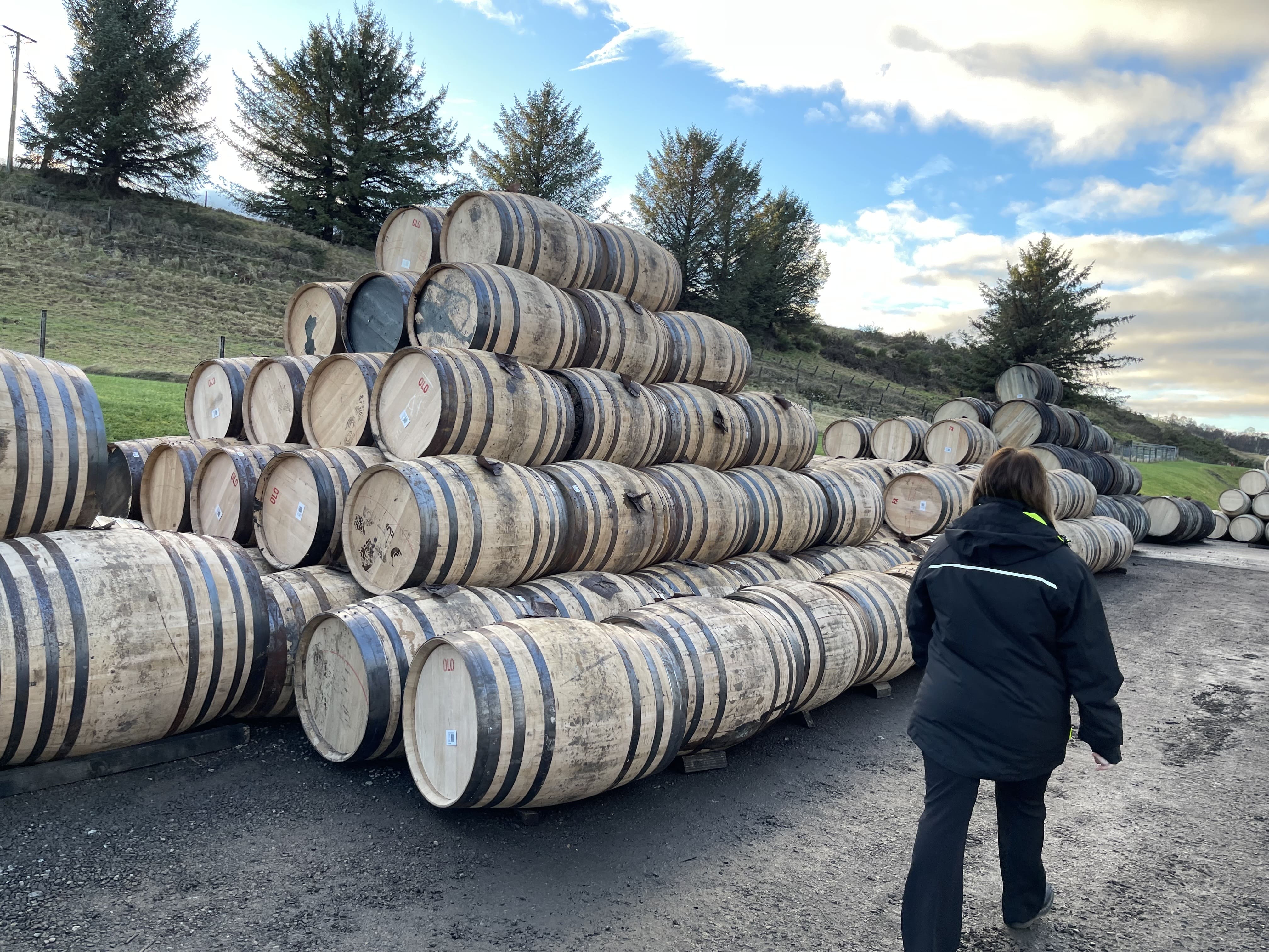 선별 대기 캐스크