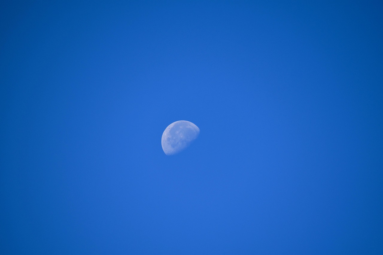 태양이나 달을 품는 꿈 태몽