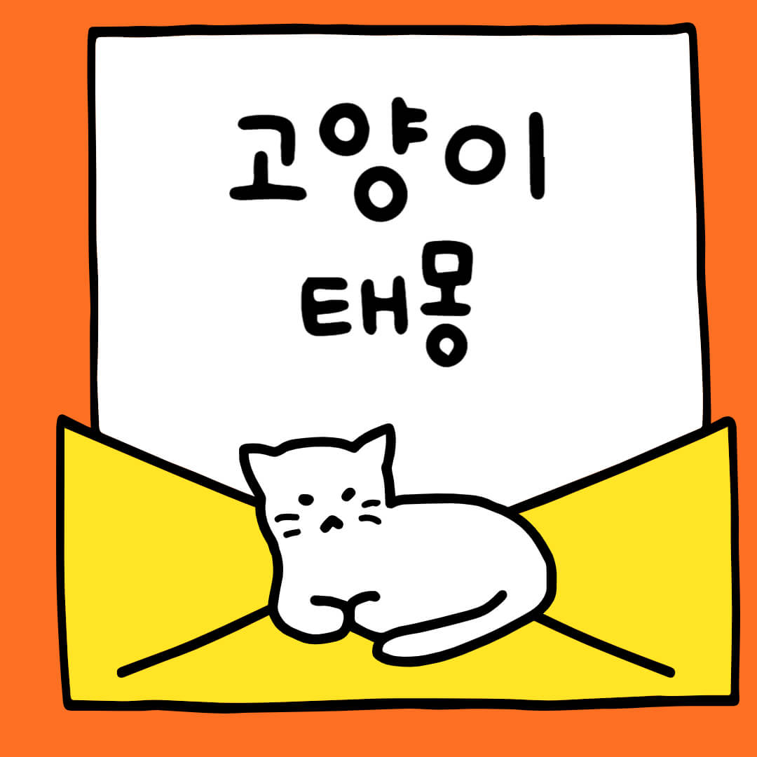 고양이 꿈 해몽 태몽 새끼 검은 고양이