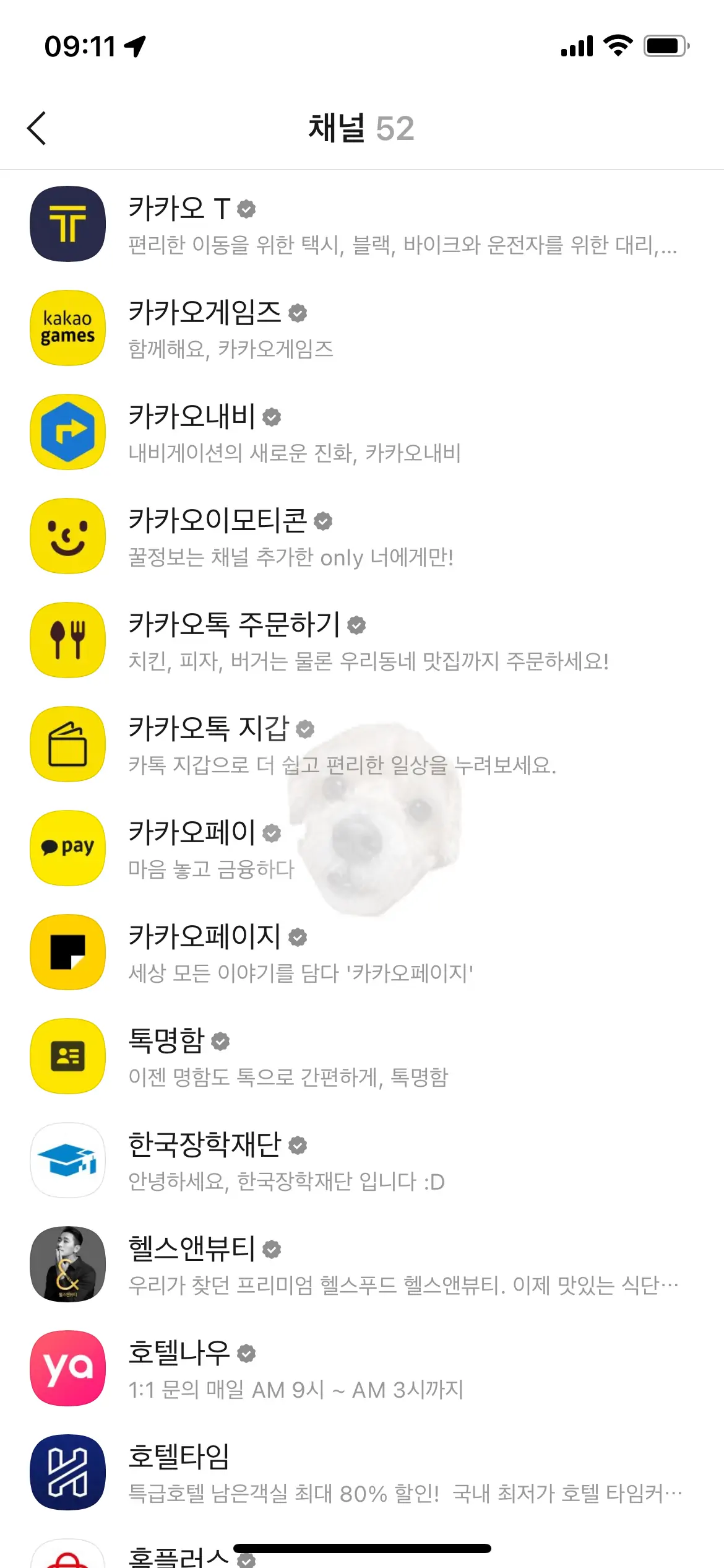 내가 추가한 카카오톡 채널들 사진