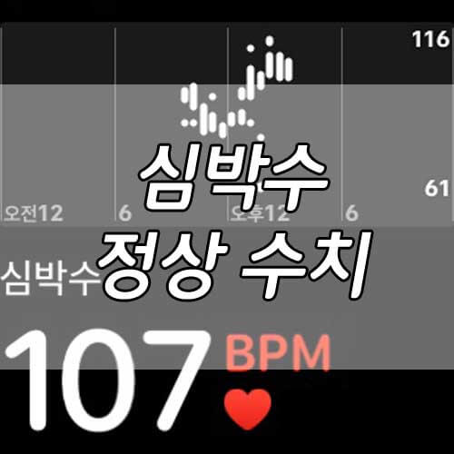 심박수 정상 수치, 최대심박수와 적정심박수 알아보자!