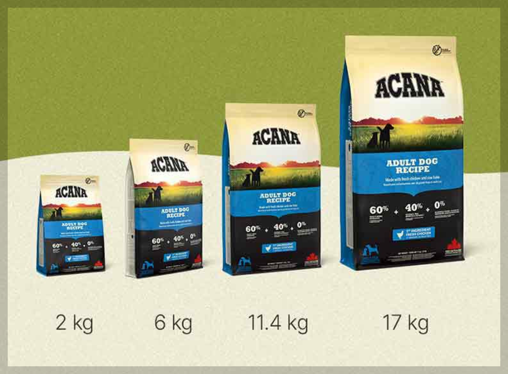 강아지 사료 추천 간식 선택 가이드