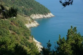 통영 연화도 수국 꽃길 산책 코스와 최적 관람 시기_10