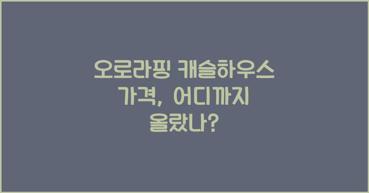 오로라핑 캐슬하우스 가격