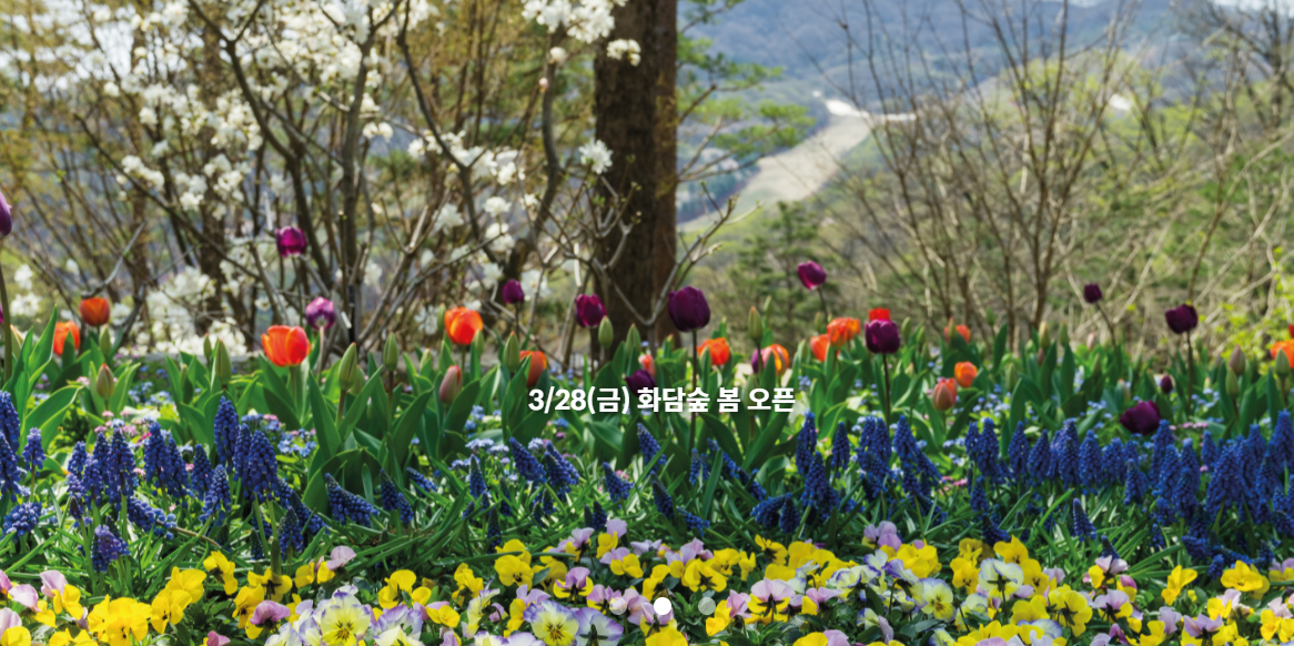 광주 수목원 화담숲