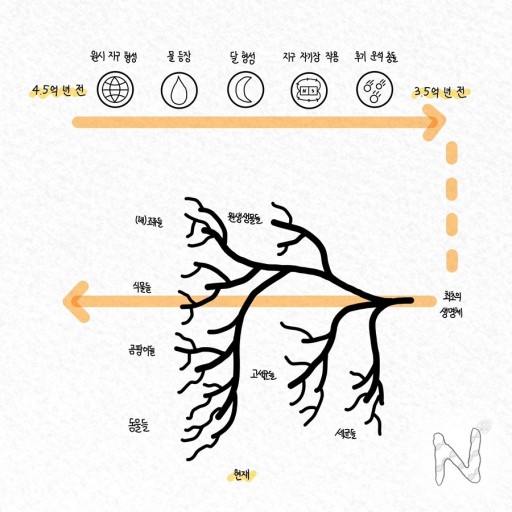 생명 유지 기능
