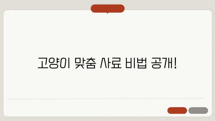고양이 사료 추천 나이별 특징별 급여 팁