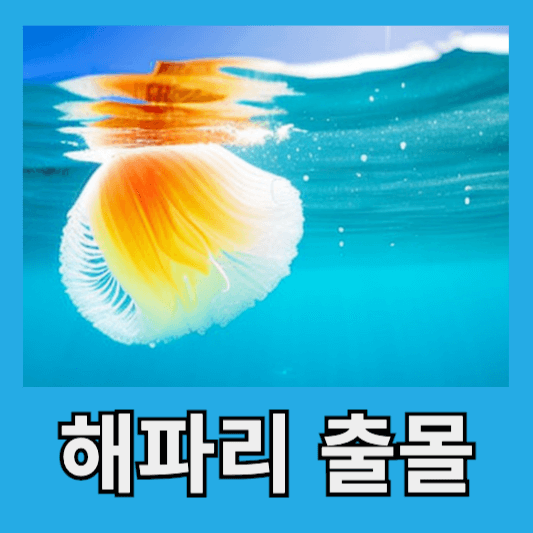 동해안 해파리 출몰 이유