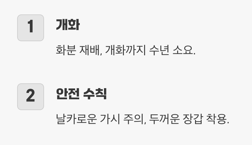 꽃을 향한 기다림&amp;#44; 그리고 작은 경고