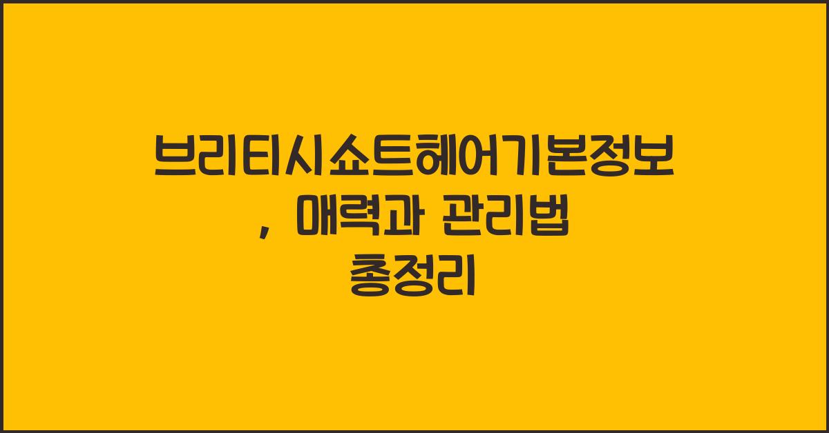 브리티시쇼트헤어기본정보