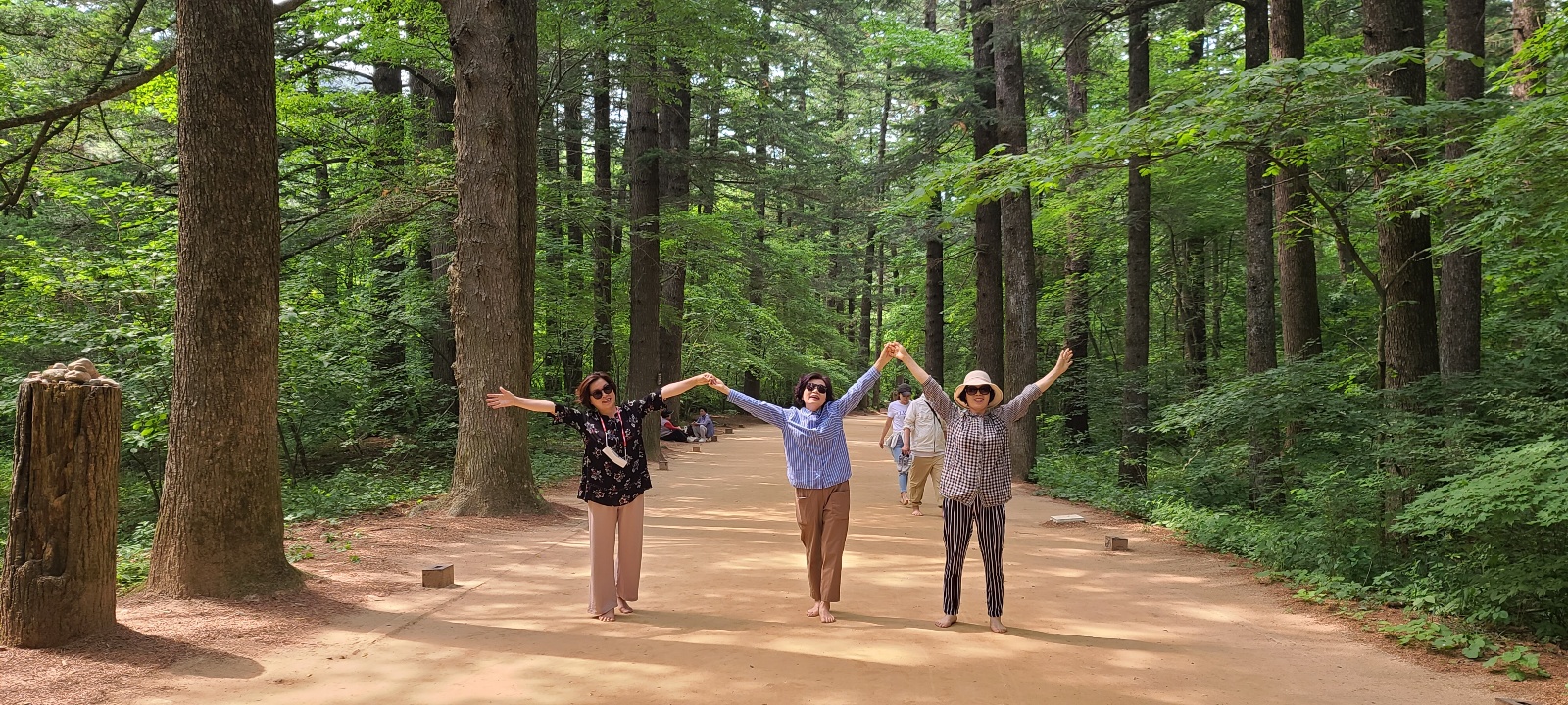 평창-월정사-전나무-숲길