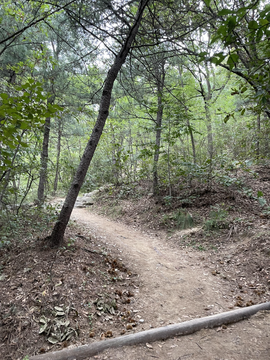 산행3