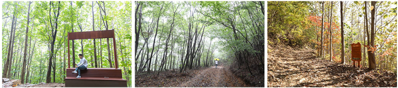 광양 백운산 둘레길 대표 코스 추천 : 천년의 숲길, 섬진강 매화길, 외갓집 가는길, 달 뜨는길