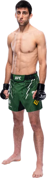 스티브 에르체그