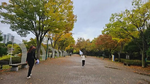 울산대공원 메타세콰이어 가는길
