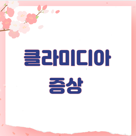 클라미디아 증상
