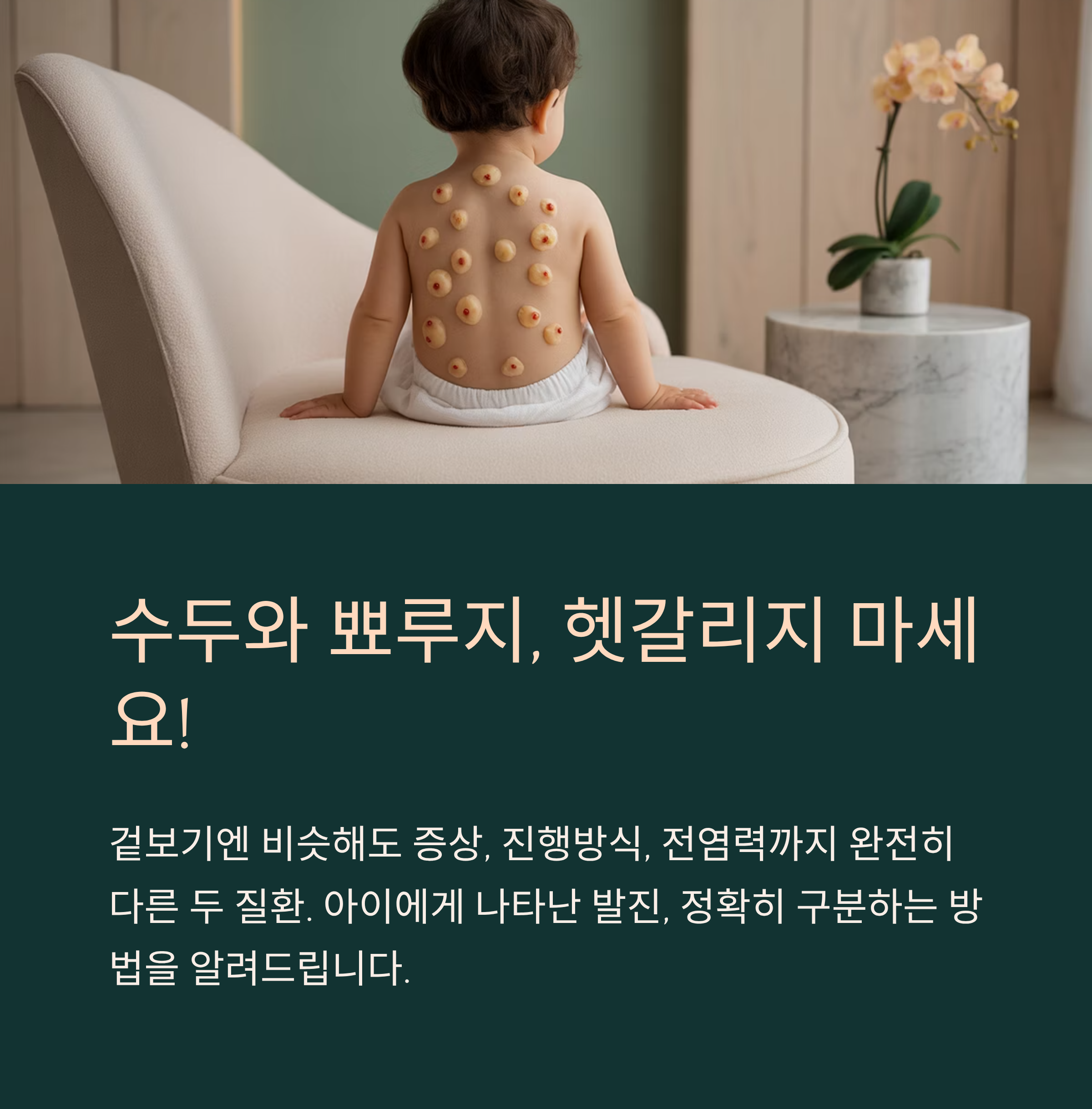 수두와 뾰루지