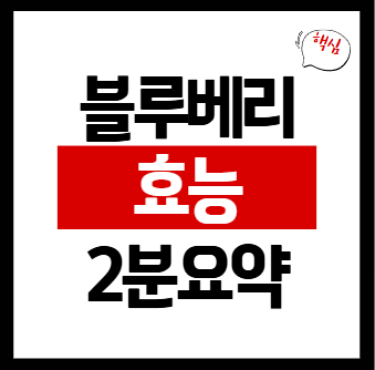 블루베리 효능