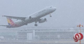 제주공항 결항 관광객인파