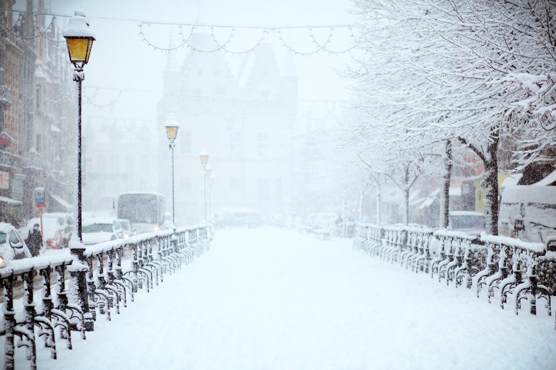 Snow