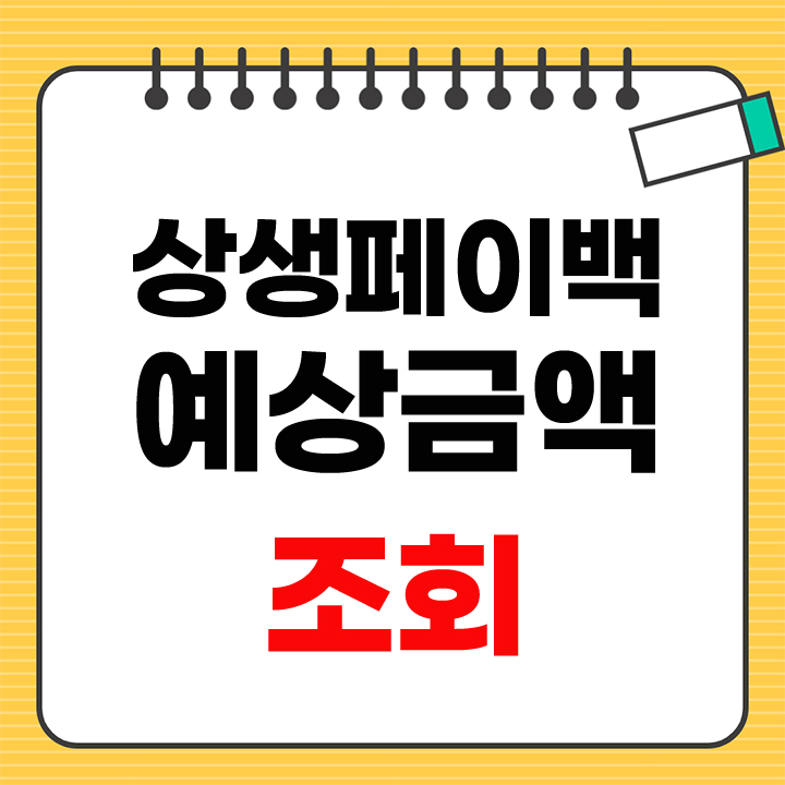 상생페이백 예상금액